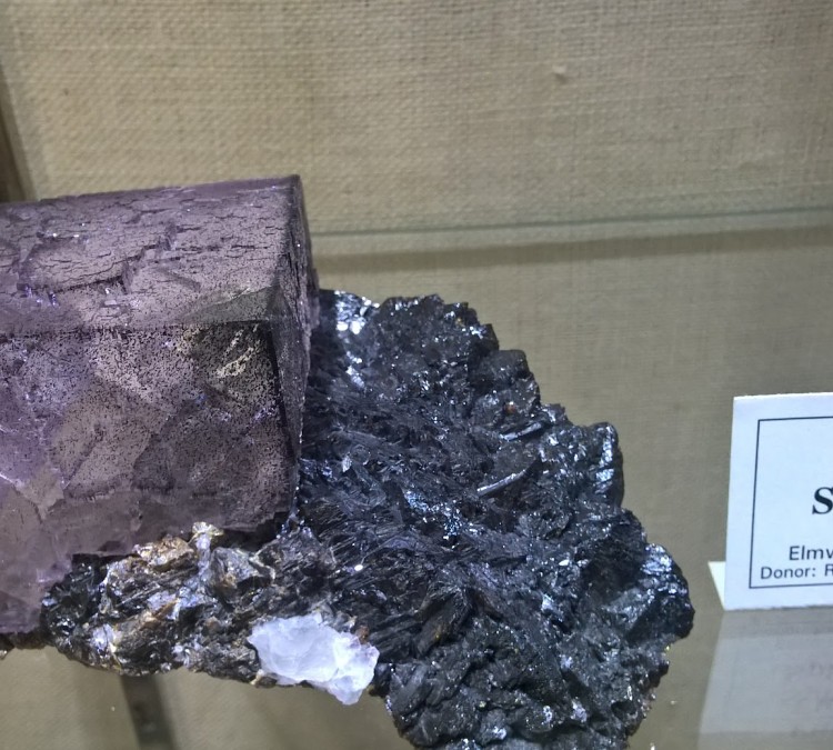 mineral-museum-photo